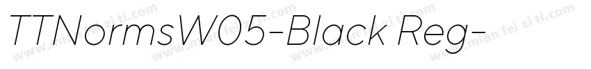 TTNormsW05-Black Reg字体转换